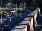 Many tarped loads on NS train 25A sweep past the NS research train